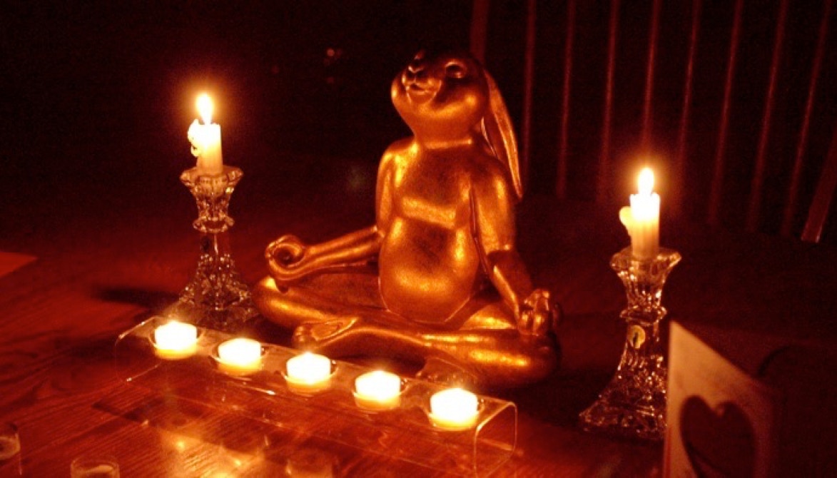 Photo by Michael North